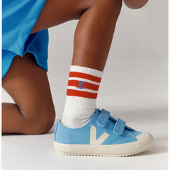 OLLIE CANVAS AQUA PIERRE